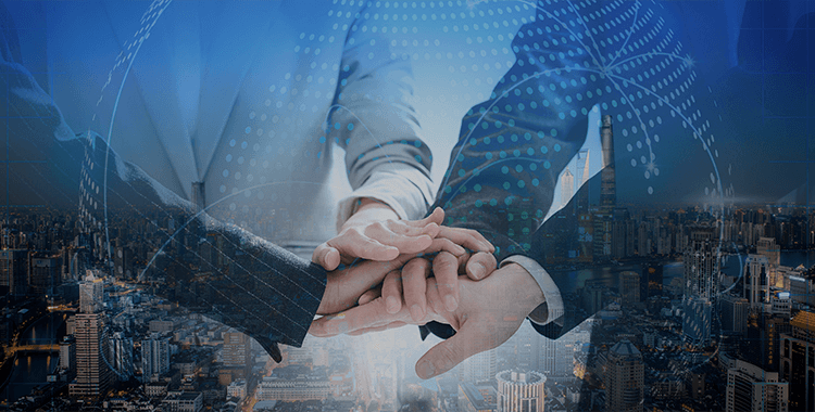 榮譽(yù)資質(zhì)